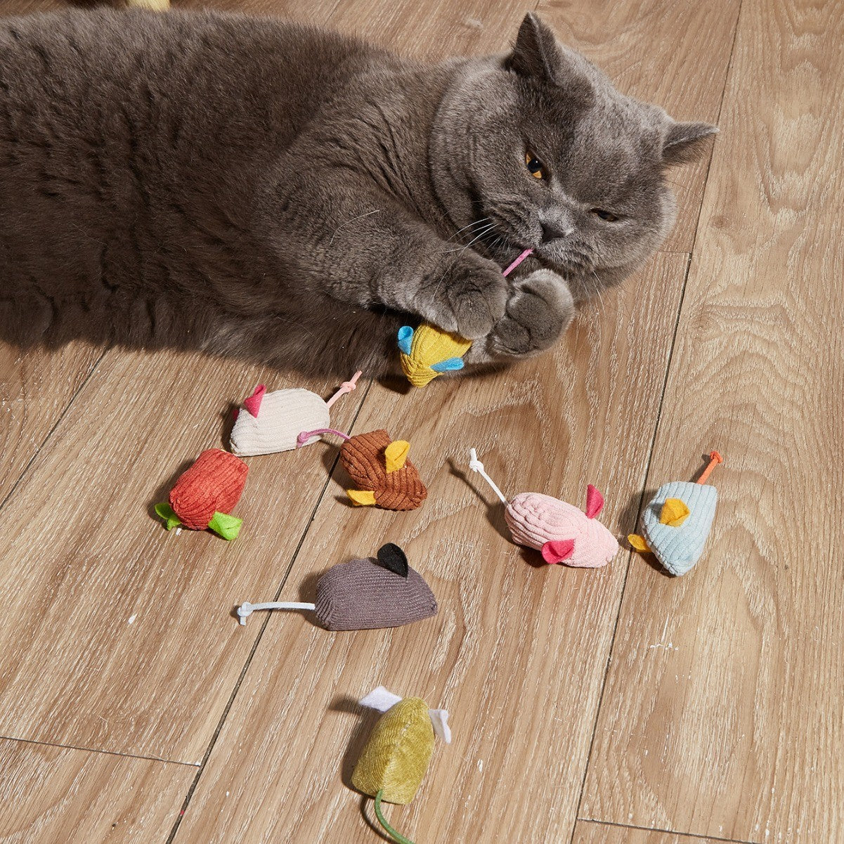 Catnip Mouse Party Pack (6-Pack) | Plush Cat Toys with Silvervine | FurSprout