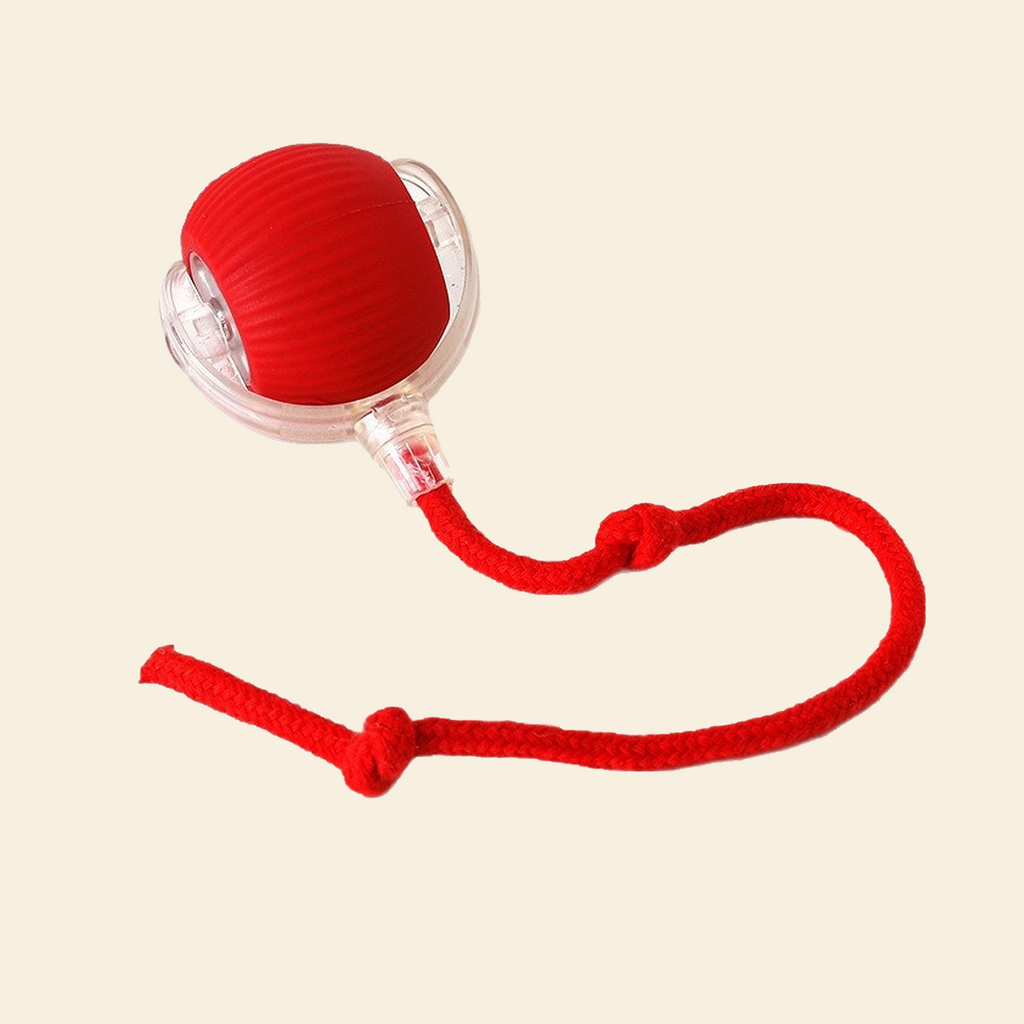 Interactive Cat Toy Ball with Realistic Bird Sounds – Self-Moving, Rechargeable Smart Toy with Chirping Audio