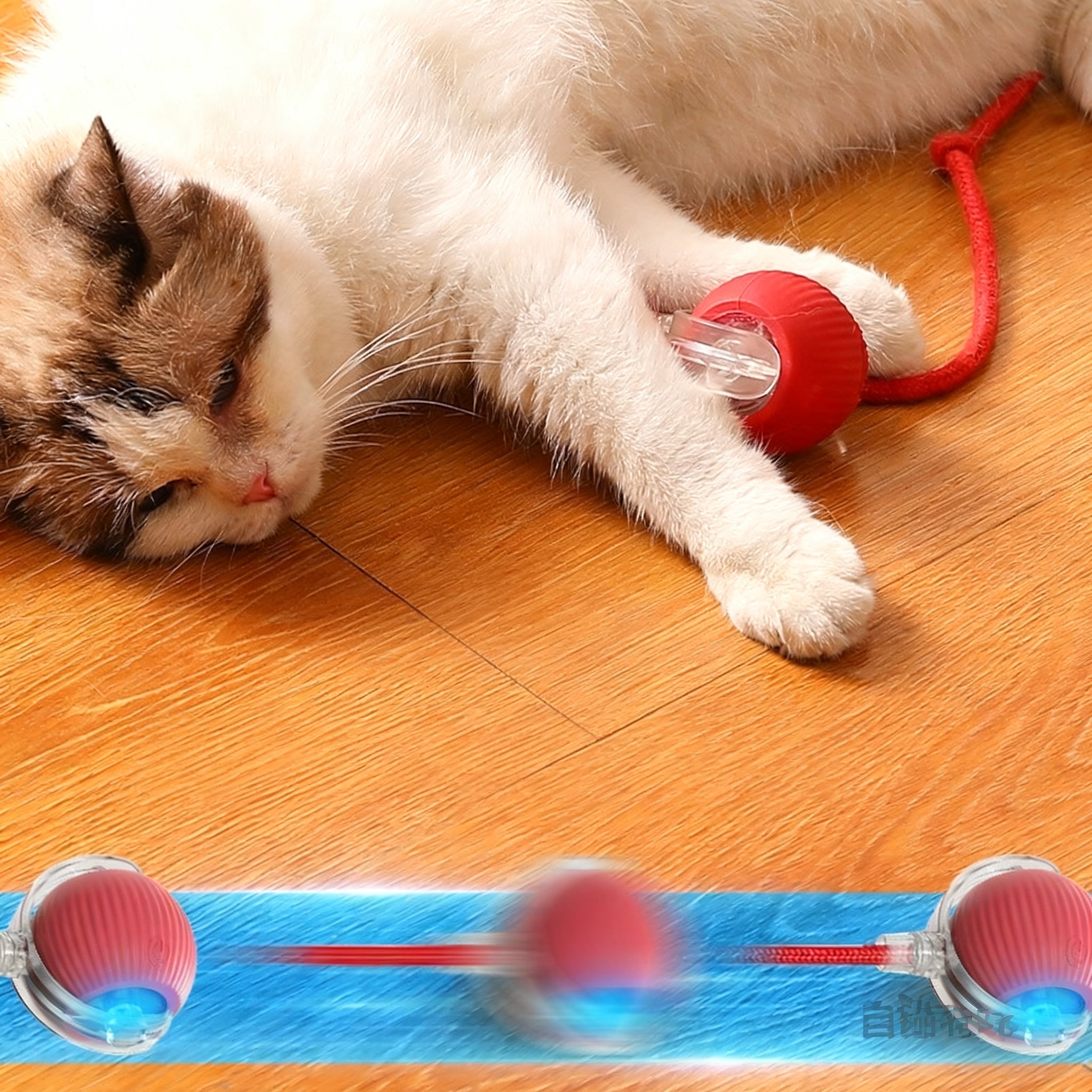 Interactive Cat Toy Ball with Realistic Bird Sounds – Self-Moving, Rechargeable Smart Toy with Chirping Audio