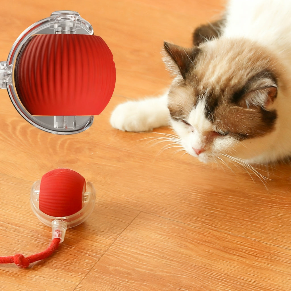 Interactive Cat Toy Ball with Realistic Bird Sounds – Self-Moving, Rechargeable Smart Toy with Chirping Audio