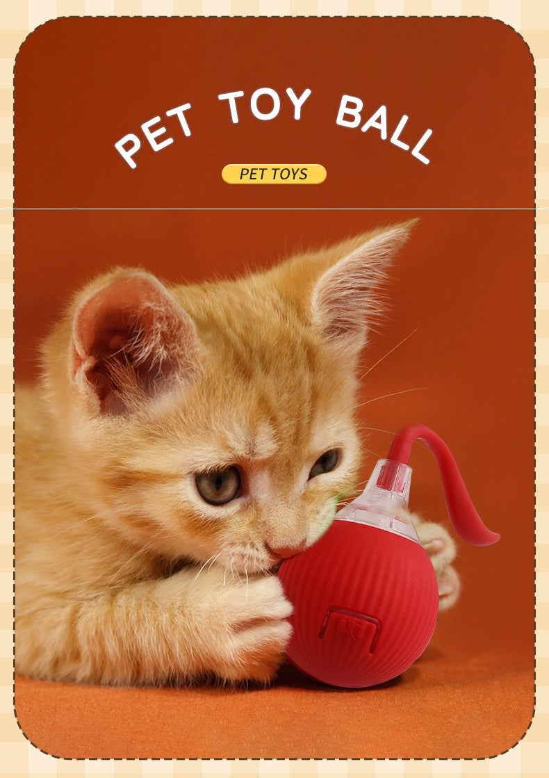 Automatic Interactive Cat Toy Ball – Self-Moving Rechargeable Smart Toy for Indoor Cats