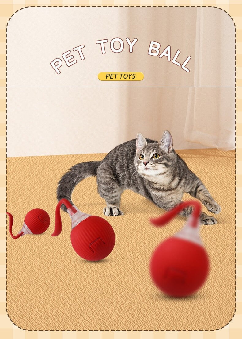Automatic Interactive Cat Toy Ball – Self-Moving Rechargeable Smart Toy for Indoor Cats
